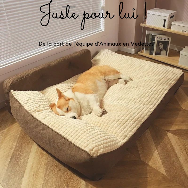 Lit pour Chien + Ebook offert !! 🎁 - Animaux en vedettes